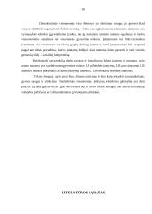 Lietuvos Respublikos (LR) įstatymai mūsų gyvenime 15 puslapis