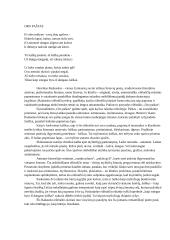 H. Radauskas "Oro paštas"