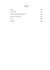 Lietuvos vaikų elgsenos įpročiai 1990 – 2004 metais 2 puslapis