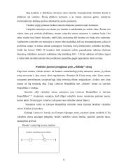 Lietuvos valstybės siena, jos nustatymas ir žymėjimas teritorinėje jūroje, vidaus vandenyse ir oro erdvėje 11 puslapis