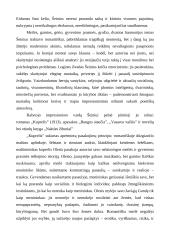 I. Šeinius ir "Kuprelis" 2 puslapis