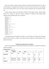 Loginis tipas 6 puslapis