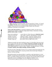 Maisto medžiagos ir jų reikšmė organizmui 7 puslapis