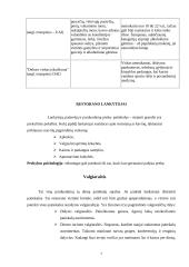 Maitinimo organizavimas viešbučiuose, mokyklose, sanatorijose 7 puslapis