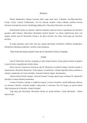 Marcelijaus Martinaičio kūrybos bruožai 2 puslapis