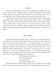 Marcelijaus Martinaičio kūrybos bruožai 3 puslapis