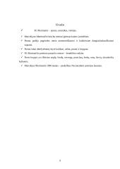 Marcelijaus Martinaičio kūrybos bruožai 9 puslapis