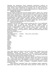 Matematikos ir skaičių istorija 2 puslapis