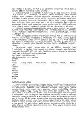 Matematikos ir skaičių istorija 3 puslapis