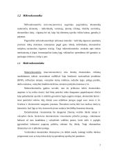 Mikroekonomikos ir makroekonomikos samprata 2 puslapis