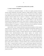 Mikroorganizmas: Pseudomonas aeruginosa 11 puslapis