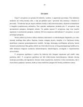 Mikroorganizmas: Pseudomonas aeruginosa 19 puslapis