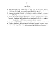 Mikroorganizmas: Pseudomonas aeruginosa 20 puslapis