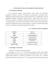 Mikroorganizmas: Pseudomonas aeruginosa 5 puslapis