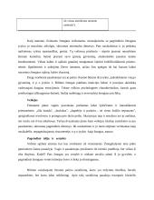 J. Biliūnas "Vagis" 4 puslapis