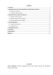 Mitybos teorijų principai 2 puslapis