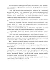 Mitybos teorijų principai 11 puslapis