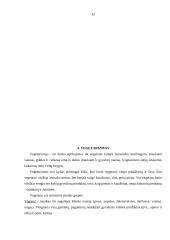 Mitybos teorijų principai 12 puslapis