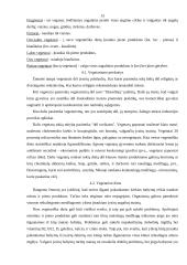 Mitybos teorijų principai 13 puslapis