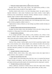 Mitybos teorijų principai 6 puslapis