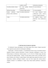 Mitybos teorijų principai 8 puslapis