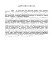 Mitozės ciklas, interfazė, mitozės esmė 5 puslapis