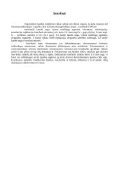 Mitozės ciklas, interfazė, mitozės esmė 8 puslapis