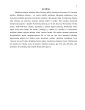 Nacionalinio mokėjimų balanso struktūra 2 puslapis