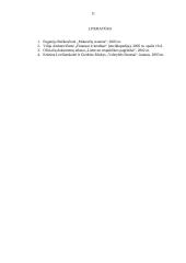 Mokesčių administravimas 11 puslapis