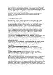 Mokymosi negalės samprata 5 puslapis