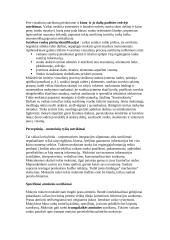 Mokymosi negalės samprata 6 puslapis