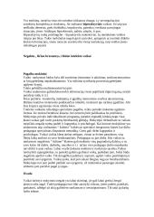 Mokymosi negalės samprata 8 puslapis