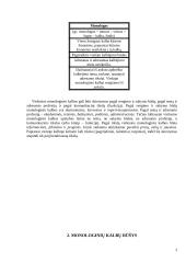 Monologinės kalbos rengimo būdai 3 puslapis