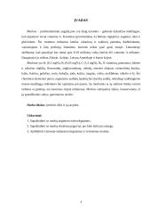 Morkos: rūšys, savybės 2 puslapis