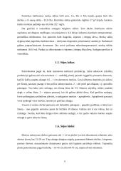 Morkos: rūšys, savybės 5 puslapis