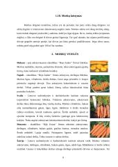 Morkos: rūšys, savybės 7 puslapis