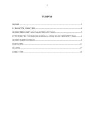 Moterų teisės 2 puslapis