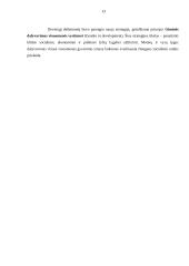 Moterų teisės 13 puslapis