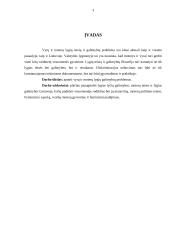 Moterų teisės 3 puslapis