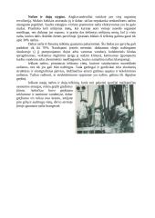 Nafta ir naftos žaliava 14 puslapis