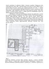 Nafta ir naftos žaliava 3 puslapis