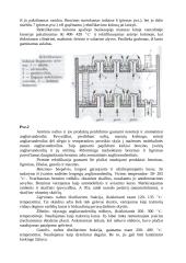 Nafta ir naftos žaliava 4 puslapis