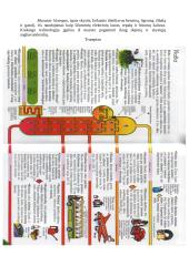 Nafta ir naftos žaliava 5 puslapis