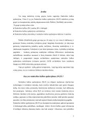 Natūralios kalbos apdorojimas 2 puslapis