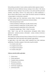 Natūralios kalbos apdorojimas 4 puslapis