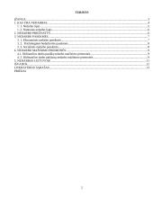 Nedarbo priežastys ir pasekmės 2 puslapis