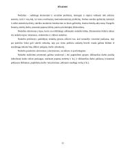 Nedarbo priežastys ir pasekmės 12 puslapis