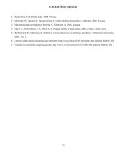 Nedarbo priežastys ir pasekmės 13 puslapis