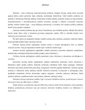 Nedarbo priežastys ir pasekmės 3 puslapis