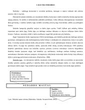 Nedarbo priežastys ir pasekmės 4 puslapis